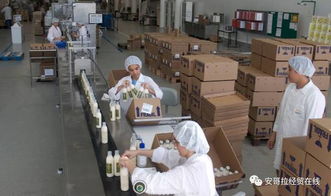 投資1000萬美元的化妝品加工廠在安開業，引領本土美妝產業新格局
